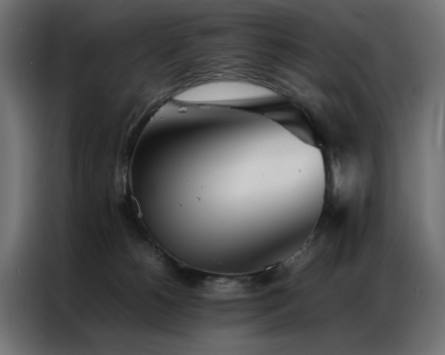 X0000086990180200704161512