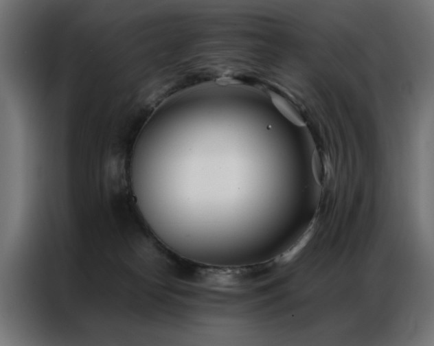 X0000086990182200704161512