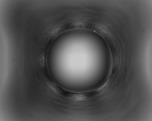 X0000086990183200704161512