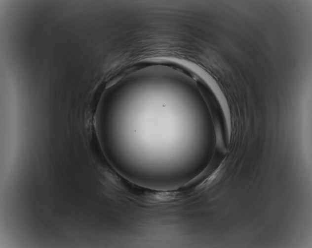 X0000086990184200704161512