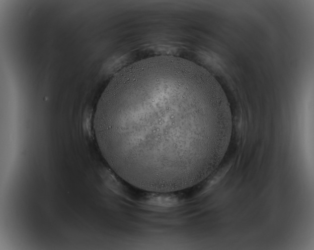 X0000086990185200704161512