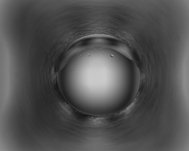 X0000086990186200704161512