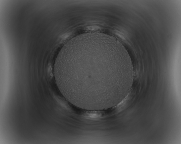 X0000086990187200704161512