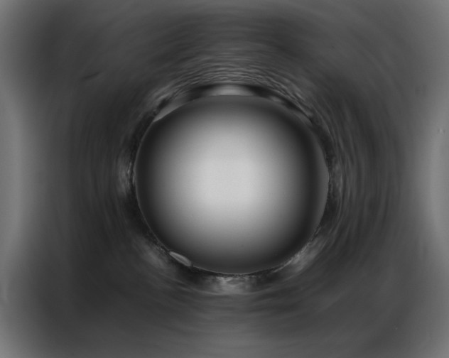 X0000086990188200704161512