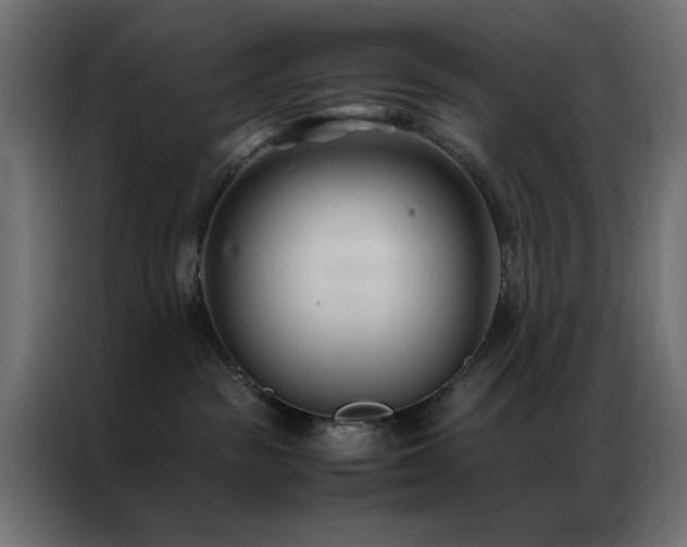 X0000086990189200704161512