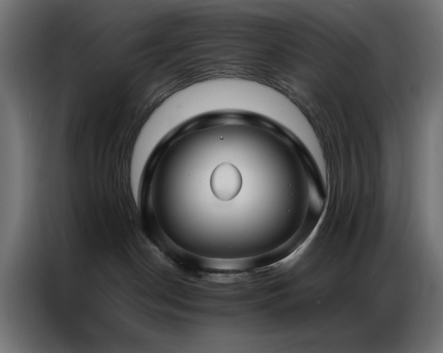 X0000086990190200704161512