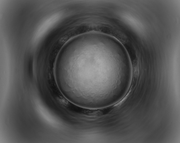 X0000086990191200704161512