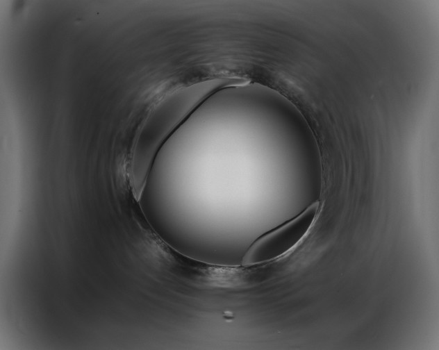 X0000086990192200704161512