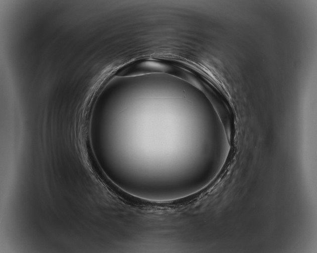 X0000086990193200704161512