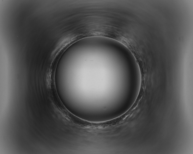 X0000086990194200704161512