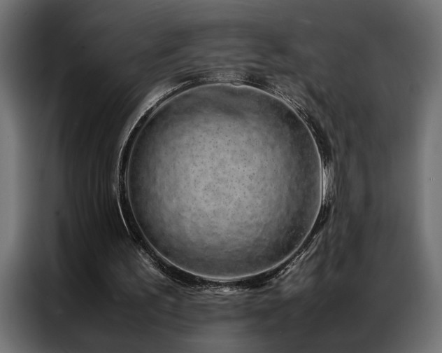 X0000086990195200704161512