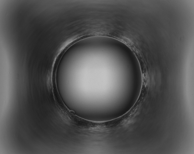 X0000086990196200704161512