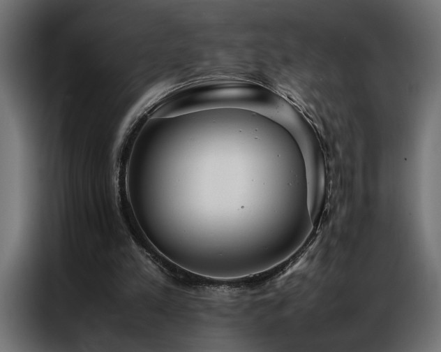 X0000086990197200704161512