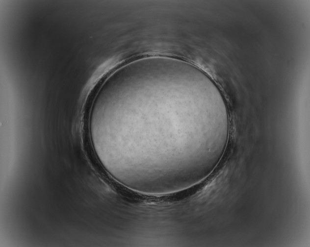 X0000086990199200704161512