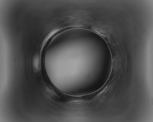 X0000086990200200704161512