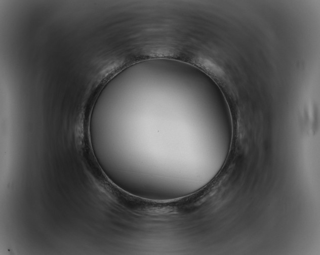 X0000086990202200704161512