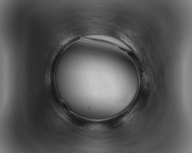 X0000086990203200704161512