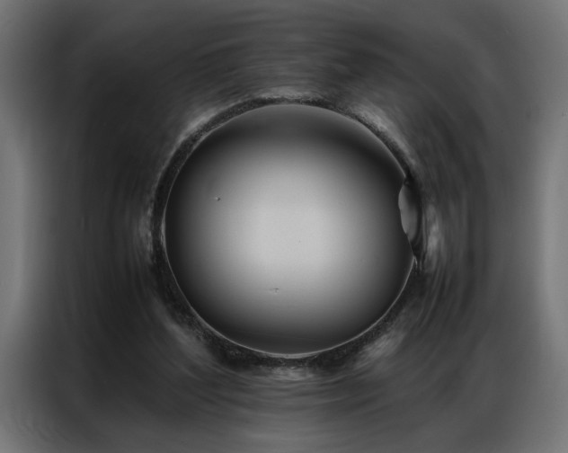 X0000086990204200704161512