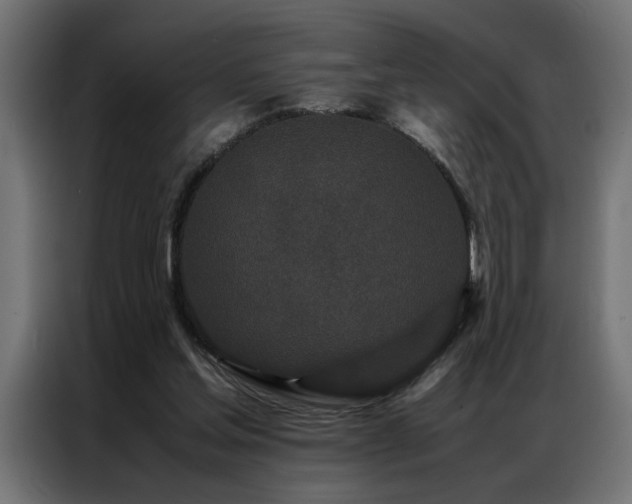 X0000086990205200704161512