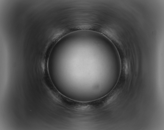 X0000086990206200704161512