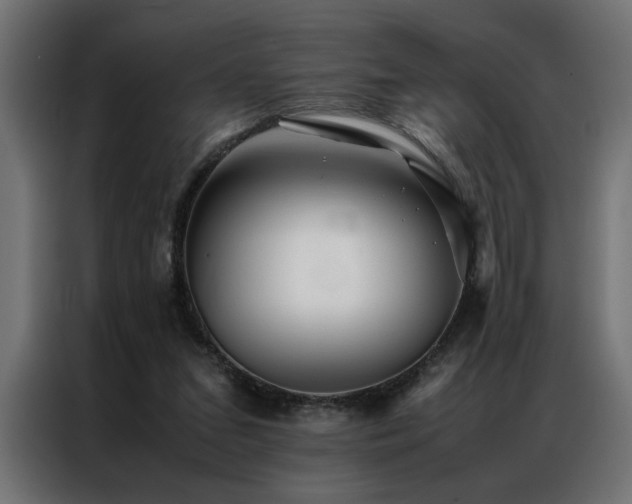 X0000086990207200704161512