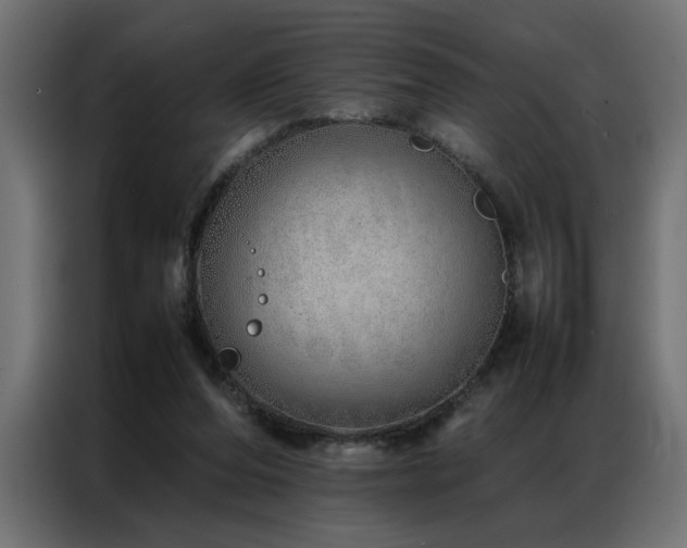 X0000086990208200704161512