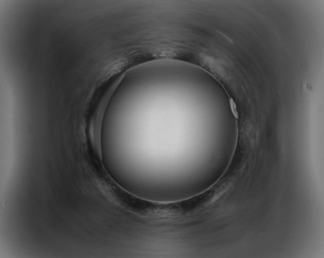 X0000086990209200704161512