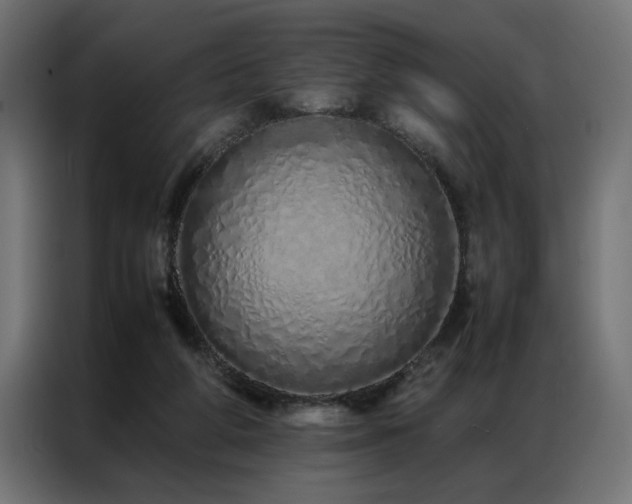 X0000086990210200704161512