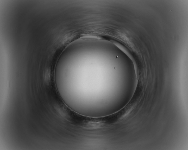 X0000086990213200704161512