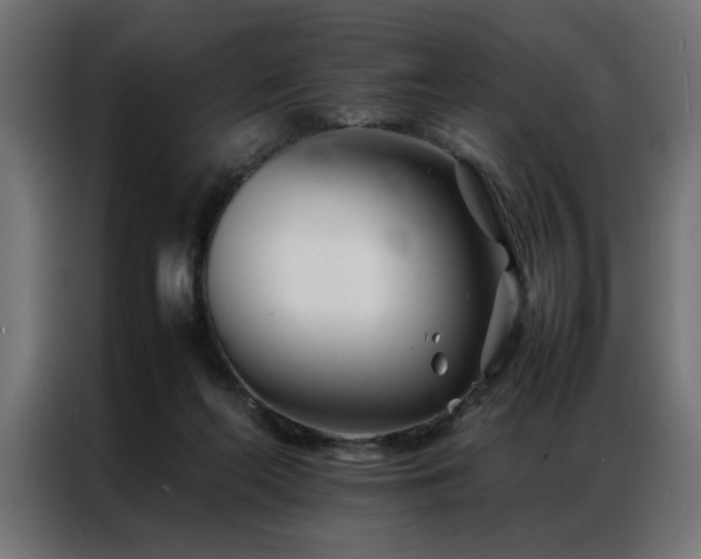 X0000086990214200704161512