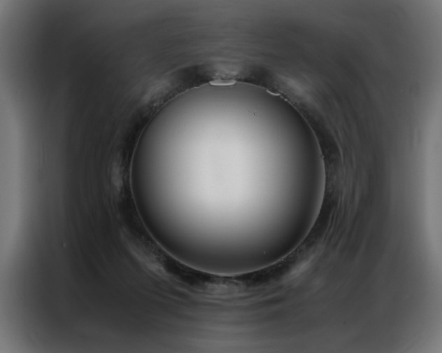 X0000086990215200704161512