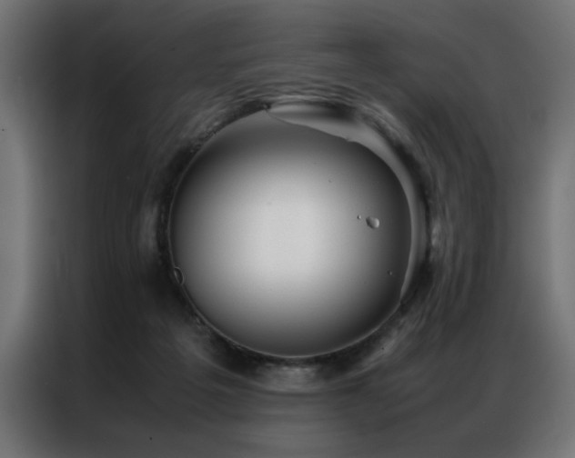 X0000086990217200704161512