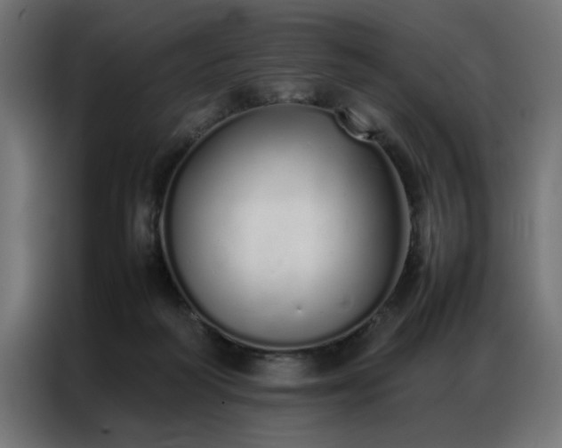 X0000086990218200704161512