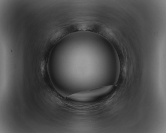 X0000086990219200704161512