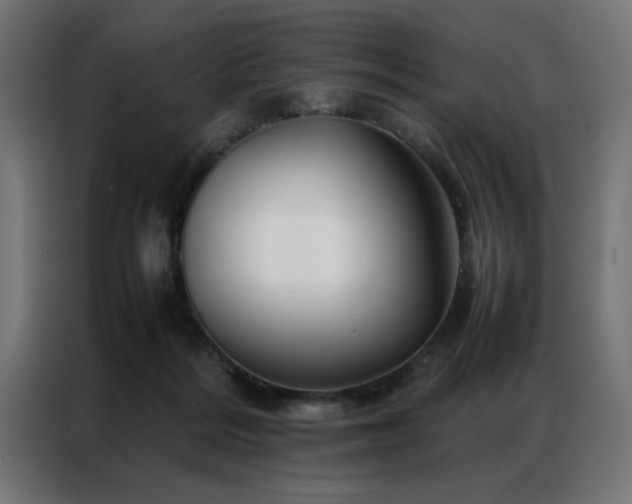 X0000086990220200704161512