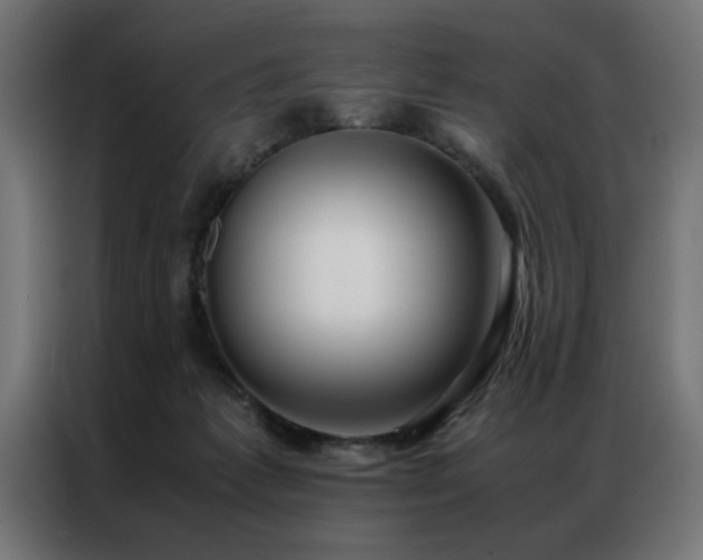 X0000086990221200704161512