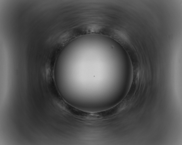 X0000086990222200704161512