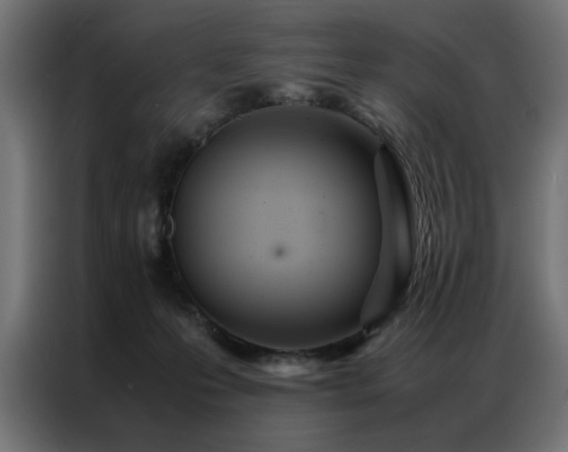 X0000086990223200704161512