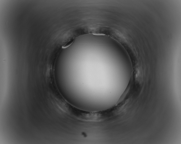 X0000086990225200704161511