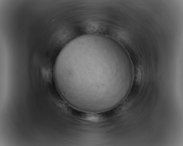 X0000086990226200704161511