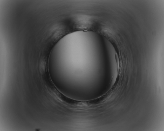 X0000086990227200704161511