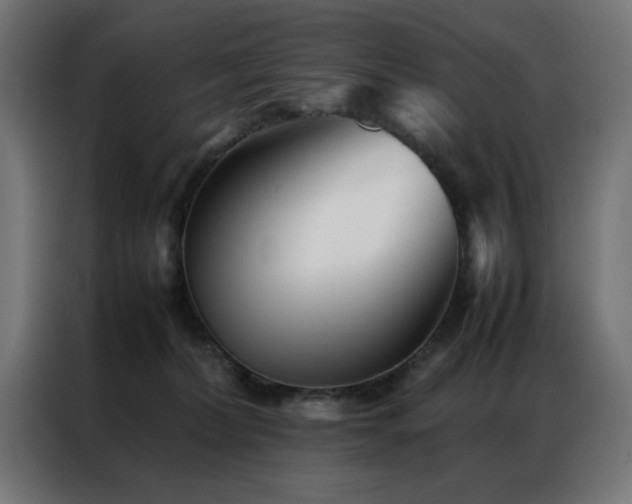 X0000086990228200704161511