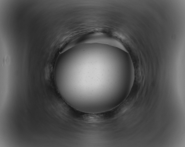 X0000086990229200704161511