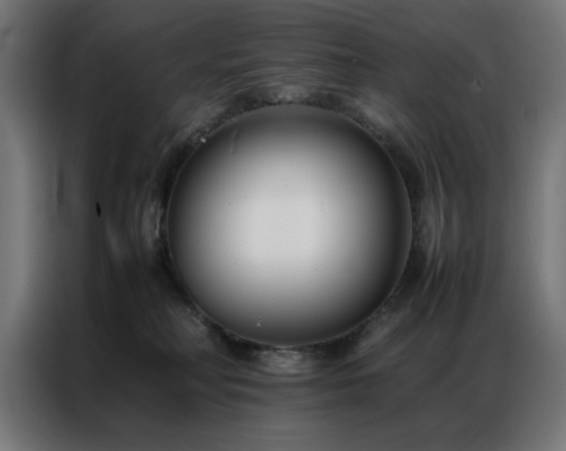 X0000086990230200704161511