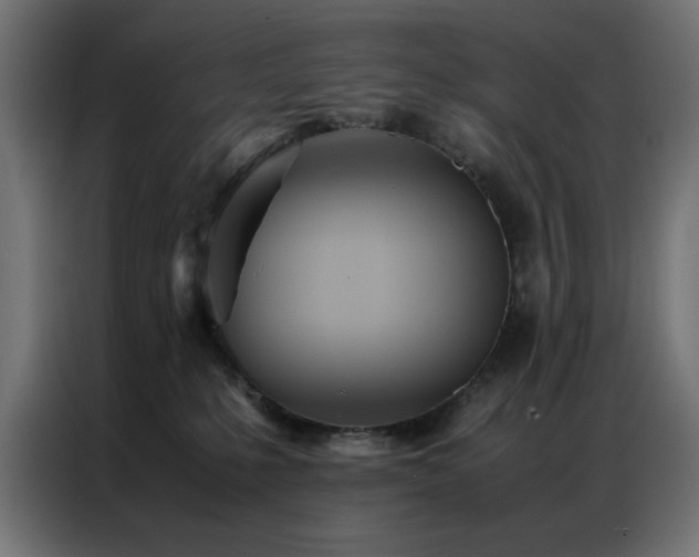 X0000086990231200704161511