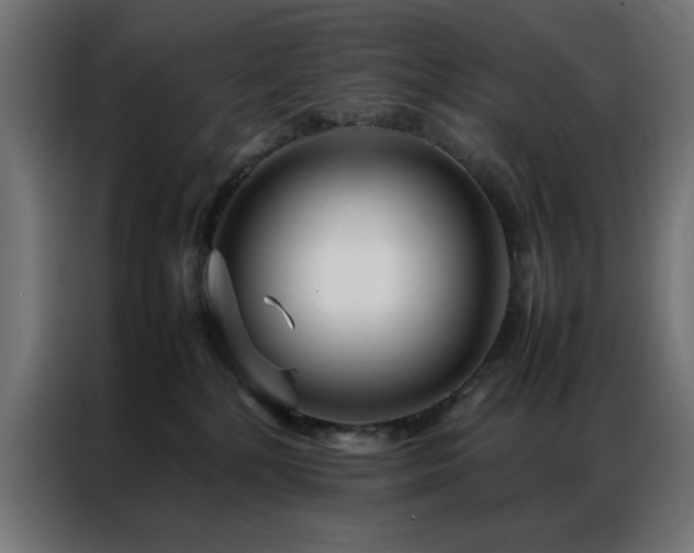 X0000086990232200704161511