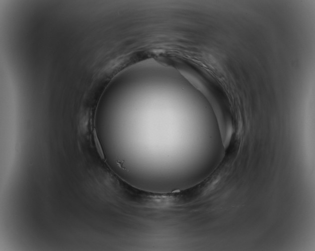 X0000086990233200704161511