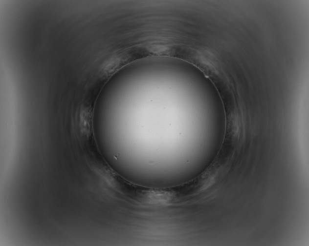 X0000086990234200704161511