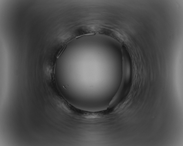 X0000086990235200704161511
