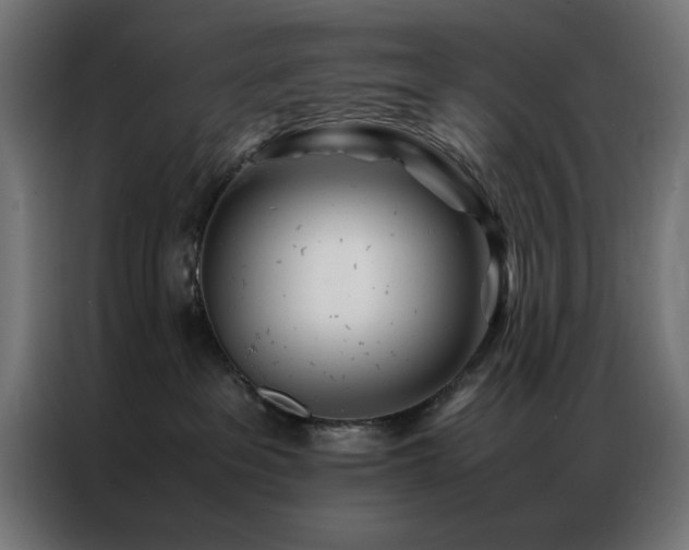 X0000086990237200704161511